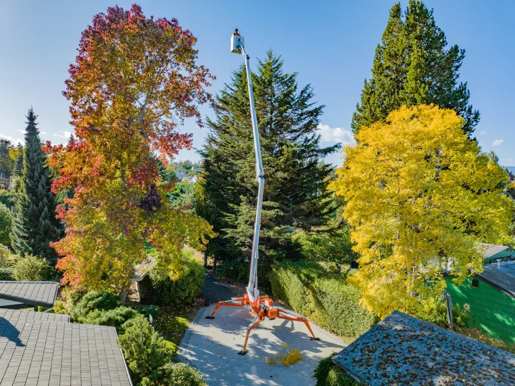 Lift all way up fall colors man lift surrounded by fall colours